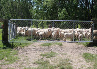 دروازه حصار زنجیره ای طول گالوانیزه 75X75MM گرم برای گوسفندان