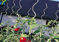6.5MM * 1.8M اتصالات نرده زنجیره ای پیوند پشتیبانی سیم گوجه فرنگی