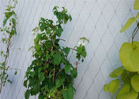 گیاهان باغ Trellis Plants 7x7 1.6mm Ferruled Climbing Netting