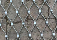 Climber Plant Trellis Netting Steel Steel Webnet Facade Facade Ferrule Cable 7 X 7