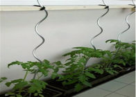 اتصالات نرده های زنجیره ای 1.5M پشتیبانی گیاه کارخانه آب پاش گوجه فرنگی